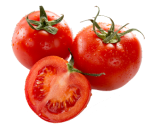 Tomato